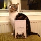 Novel set in Tokyo (Chibi the charming cat)