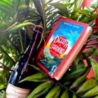 Crime novel set in Florence and Sardinia (an Inspector Bordelli mystery…)