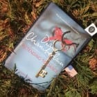 Novel set in USA (An excellent family saga)