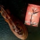 Novel set in Zimbabwe (‘It’s the best thing I’ve read in years…’)