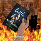 Powerful novel set in Shaker Heights, Cleveland, Ohio