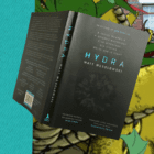 Suspense thriller set in Lancashire and Cornwall