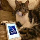 Thriller set in Hitchin, Hertfordshire