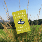 Novel set in the West of Ireland and Dublin