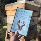 Haunting novel set on the refugee route across Europe