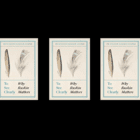 GIVEAWAY: 3 copies “To See Clearly: Why Ruskin Matters” – a portrait of the visionary scholar