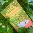 Novel set in 1920s Malaya (truth and lies in the jungle)