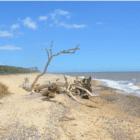 Talking Location With … author Edward Wilson – SUFFOLK and MASSIF CENTRAL