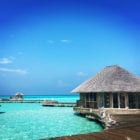 A Day In The Life Of… Alice Spencer, a “Barefoot Bookseller”