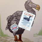 Gone: A search for what remains of the world’s extinct creatures