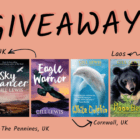 GILL LEWIS X TINY TRIPFICTION GIVEAWAY!