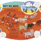 A World Full of Journeys and Migration by Martin Howard