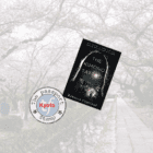 Crime Mystery set in KYOTO
