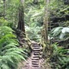 Talking Location With author Alison Booth – The Blue Mountains
