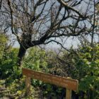 Talking Location With S A Harris – SUFFOLK