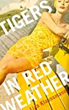 Summer reads set in The Hamptons and southern New England