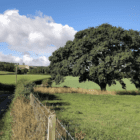 Talking Location With Sue Reed – NEWCASTLE and through NORTHUMBERLAND