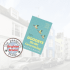 Novel set in BRIGHTON and BRISTOL