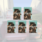 GIVEAWAY: 5 copies of Overland – a 1970 trip of a lifetime from London to Kathmandu