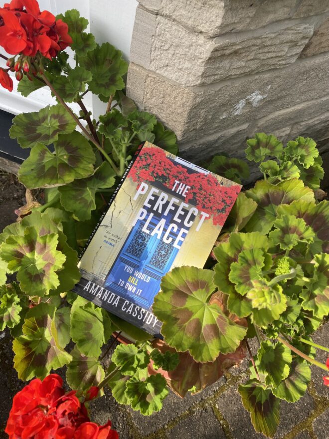 Mystery set in the South of France