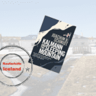 Complex 20th Century spy thriller set in ICELAND