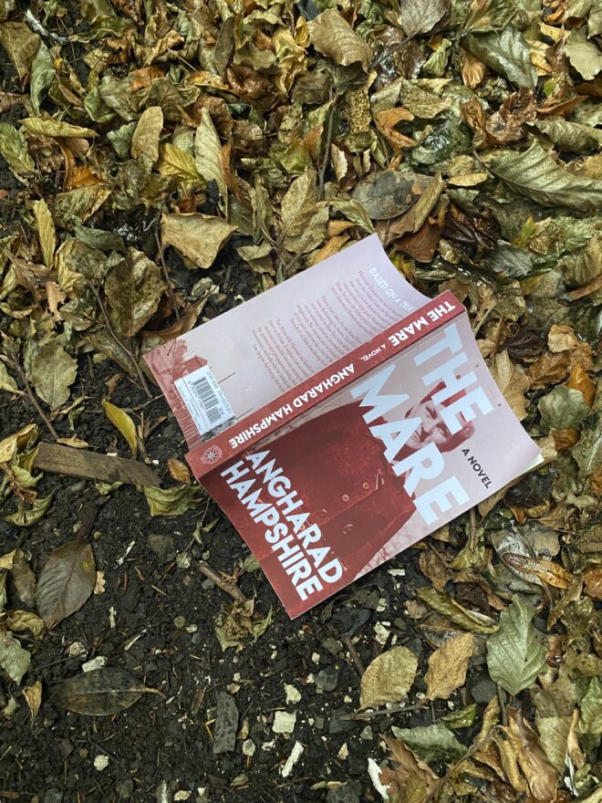 novel set in RAVENSBRÜCK / MAJDANEK and NEW YORK