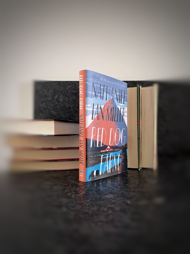 Coming-of-age novel set in BORGARNES (Iceland)