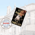 Novel set in 16th Century MADRID