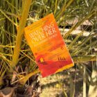 A brilliant novel of a troubled sculptor in 20th Century ITALY