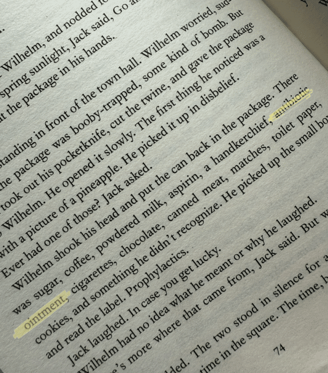 A novel of collective guilt and shame set in GERMANY