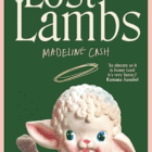 Novel set in fictional small-town AMERICA